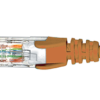Cat6 Orange Patch Lead 1M