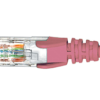 Cat6 Pink Patch Lead 2M