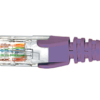 Cat6 Purple Patch Lead 1M