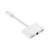 Apple Lightning To 3.5Mm Stereo Audio Adaptors