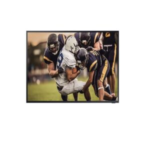 Samsung 75" (BHT) Outdoor TV QLED UHD 1500Nits