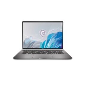 MSI Creator Series 17' QHD Intel Core i9-14900HX Processor 16GB*2 2TB Windows11 Home Touchscreen Notebook Lunar Gray