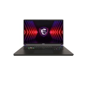 MSI Vector Series 16' QHD Intel Core i9-14900HX Processor 16GB*2 2TB Windows 11 Home Gaming Notebook Cosmos Gray
