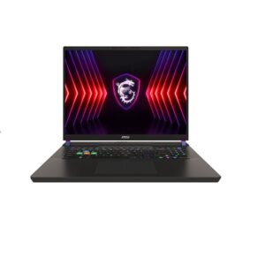 MSI Vector Series 16' QHD Intel Core i9-14900HX 16GB*2 2TB Windows 11 Pro Gaming Notebook Cosmos Gray